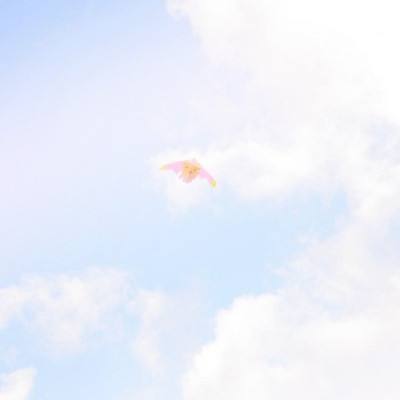 超冒险小镇物语2官方版(暂未上线)v1.0.0 安卓最新版