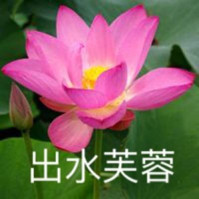 吃鸡大哥大游戏下载